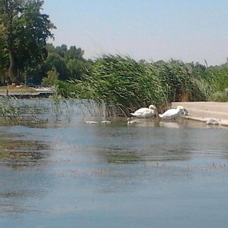 Napsugar Nyaralo Villa Fonyod Ngoại thất bức ảnh